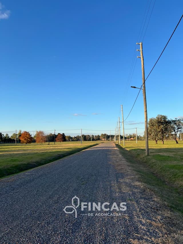 Fondo